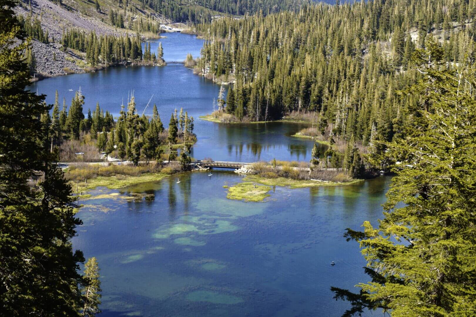 Mountain lake with surrounding evergreen forest.