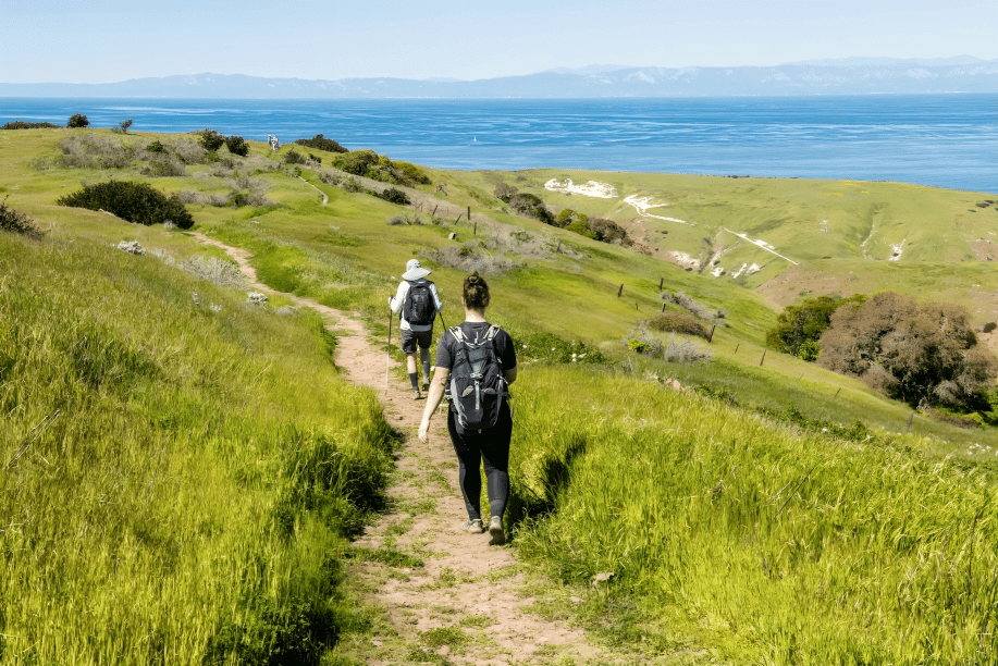 Hikers on grassy trail overlooking the ocean.