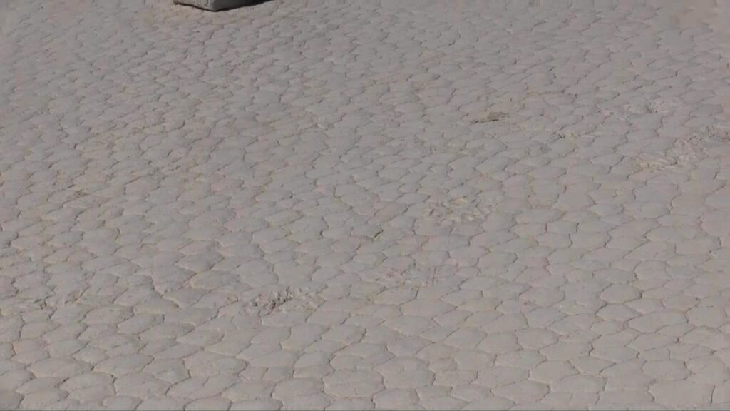 Man standing next to a small private airplane on a cloudy day.