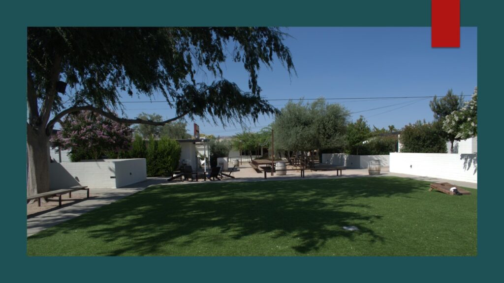 Woman feeding donkeys in a sunny outdoor pen.